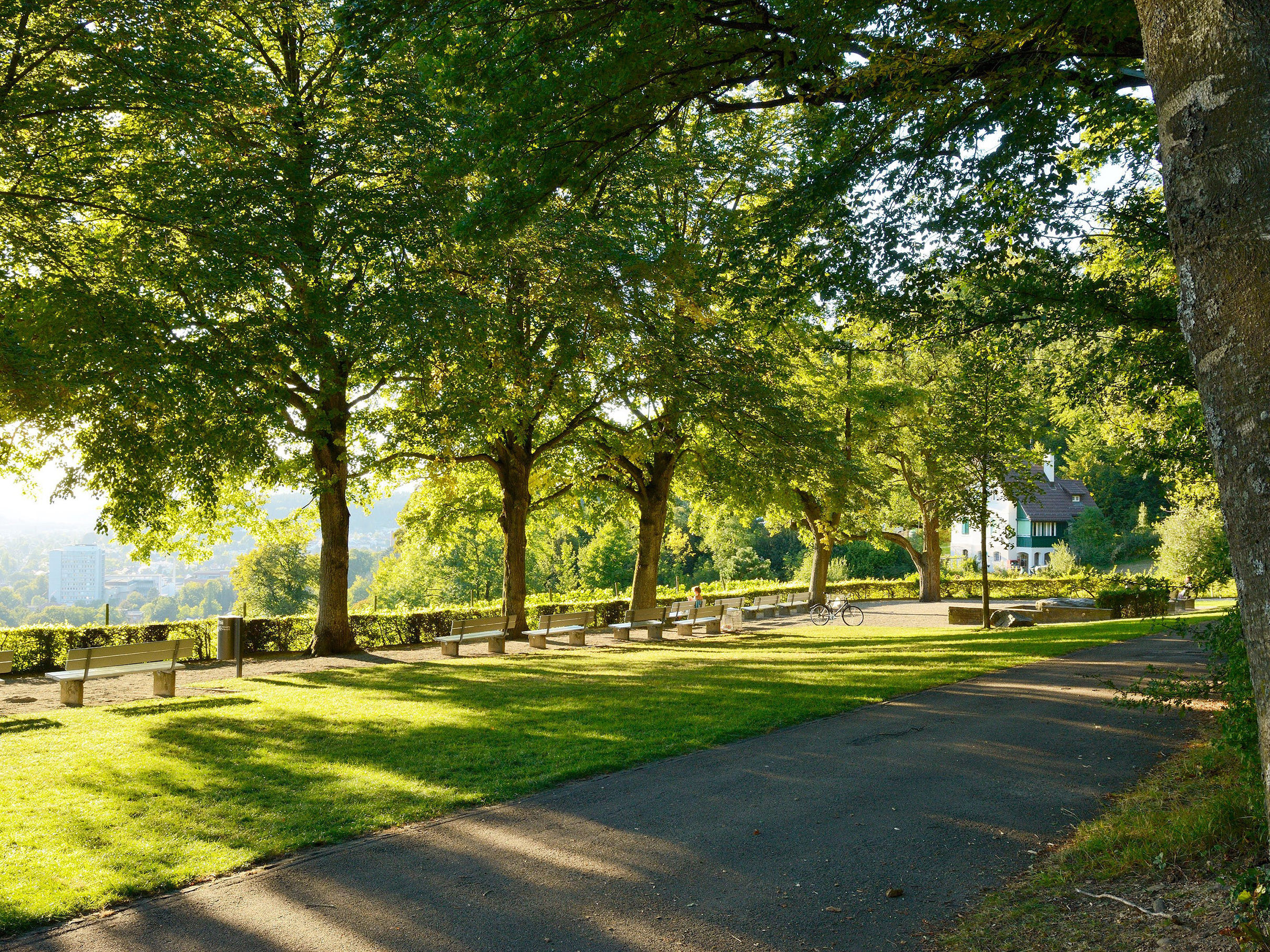 Baumspaziergänge in der Stadt Winterthur