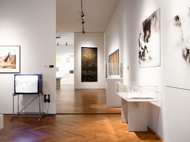 Galerie-Bild