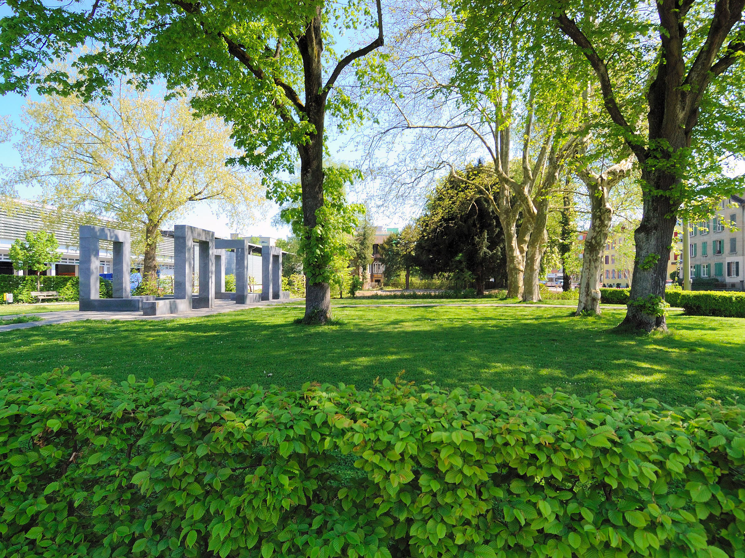 Baumspaziergänge in der Stadt Winterthur