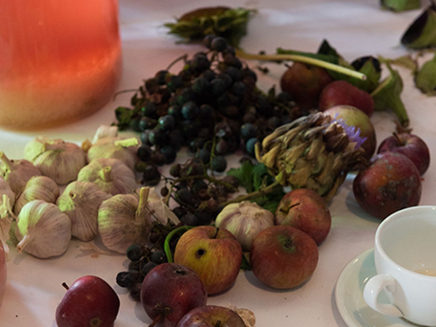 Workshop für alle: Fermentation and Bacteria. Kochen ohne Hitze - Ausgebucht