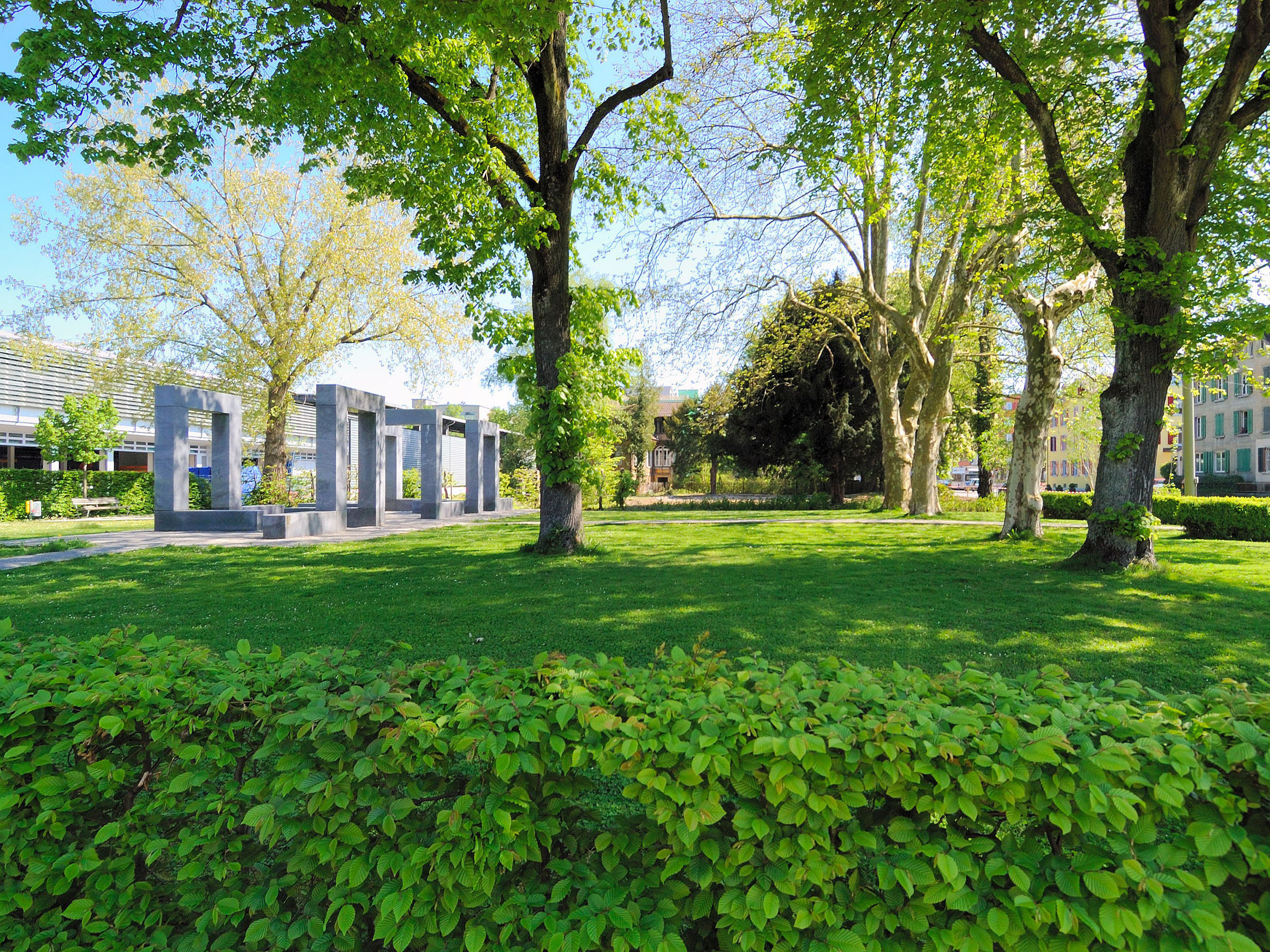 Podium: Bäume für die Zukunft der Gartenstadt