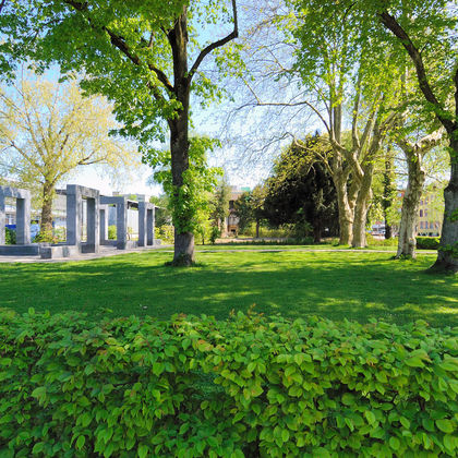 Baumspaziergänge in der Stadt Winterthur