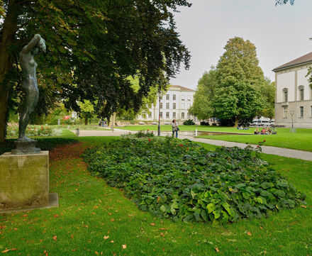 Logo Baumspaziergänge in der Stadt Winterthur